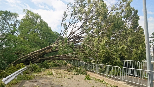 強風でシャッターが壊れた場合の対処法と火災保険